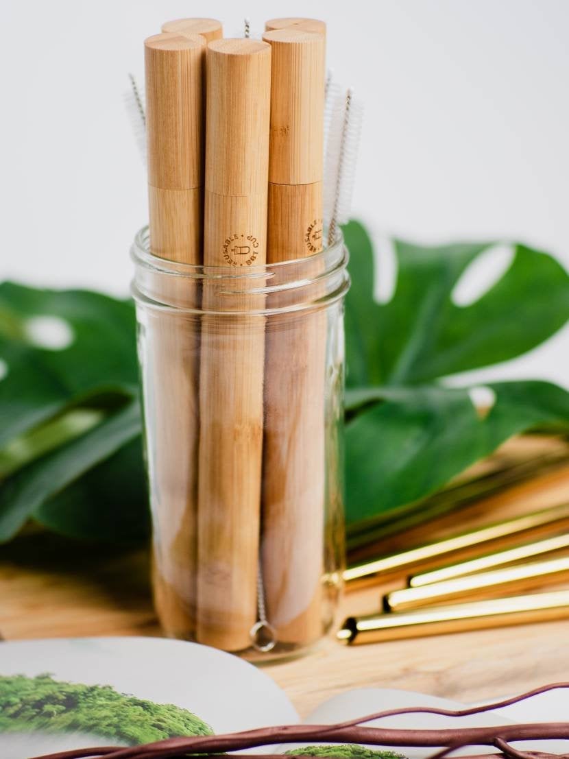 Bamboo Bubble Tea Straw Case