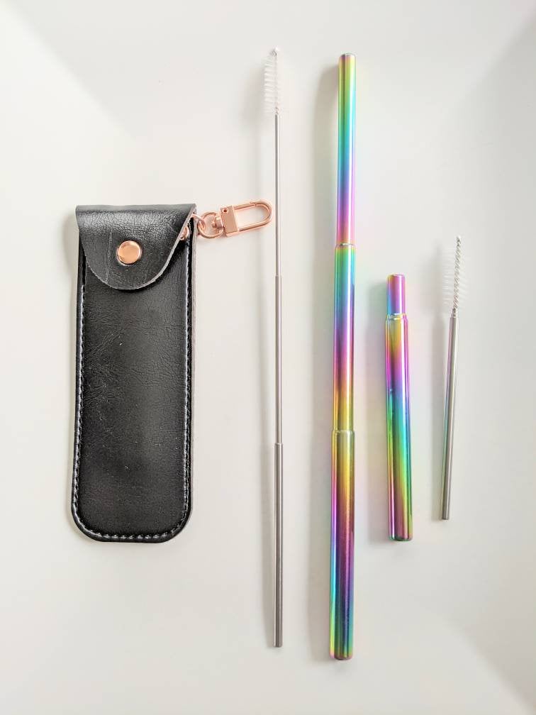 Clearance: Rainbow Chrome Collapsible Straws in Vegan Leather Keychain Case